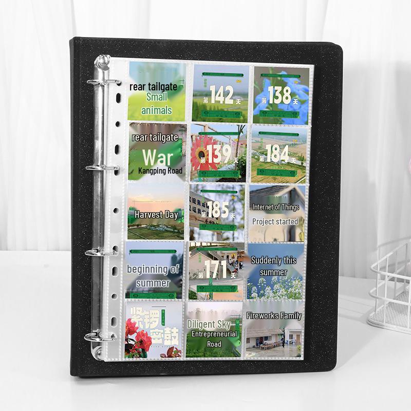 A4 Transparent 15-Pocket Loose-Leaf Pages for Coins & Stamps Collection Album