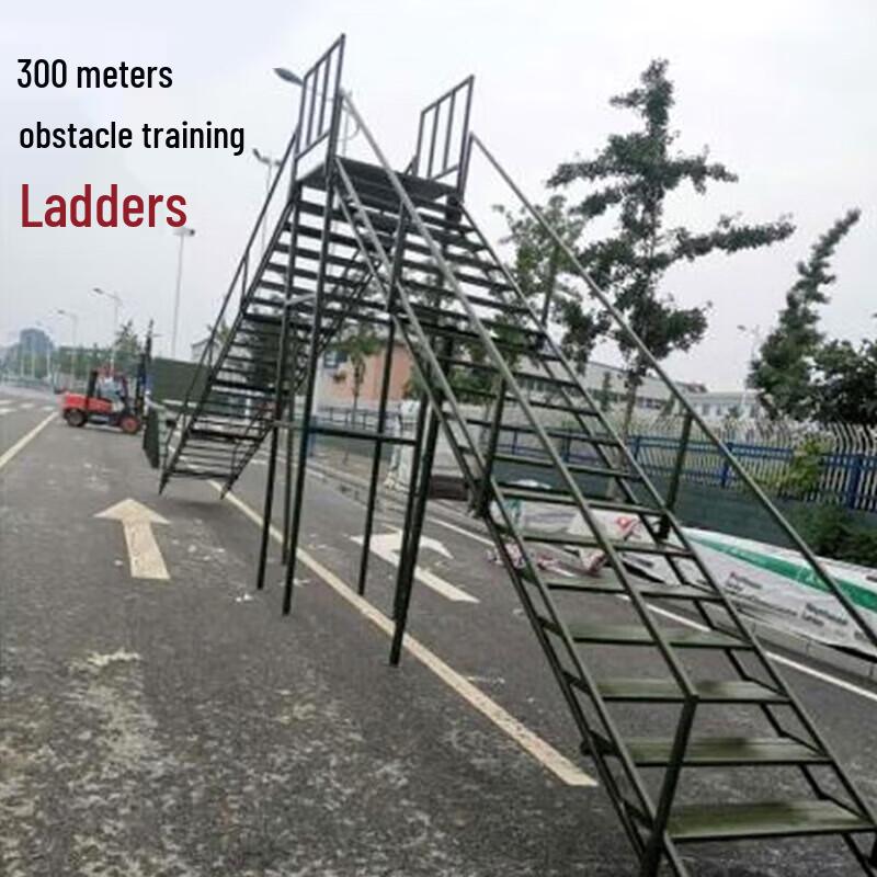 Professional Dog Agility Training Obstacles