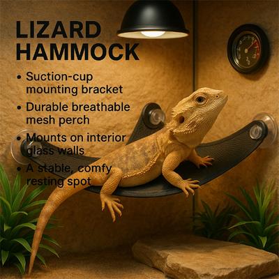 Reptilien – Reptilien-Terrarien