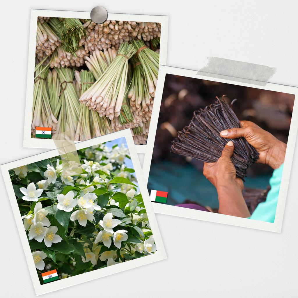 Natural Essential Oils for Aromatherapy 12 Pcs