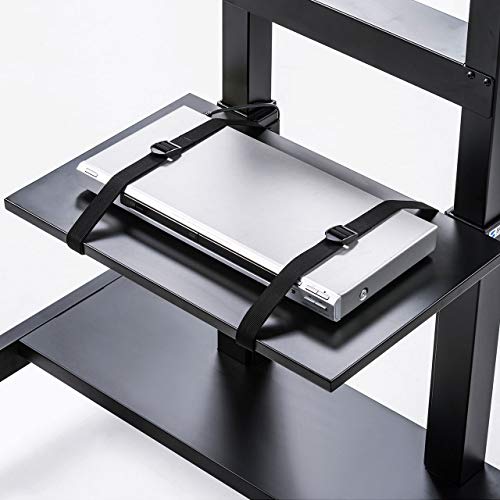 Sanwa Supply Equipment Fixing Belt (2.5m, Set of 2) RAC-BL5