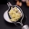 Multifunctional Garlic Mincer, Tool Handheld Garlic Crusher for Kitchen