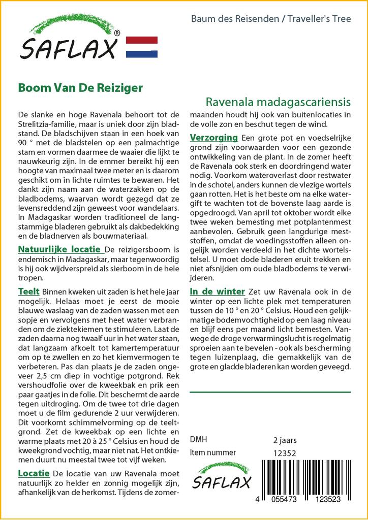 SAFLAX Gift Set - Traveller's Tree - 8 Seeds - With Gift Box, Card, Label and Potting Substrate - Ravenala Madagascariensis