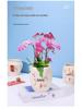 Ceramic Money Tree Succulent Vase: Peace & Joy Decorative Flower Pot for Home & Office.
