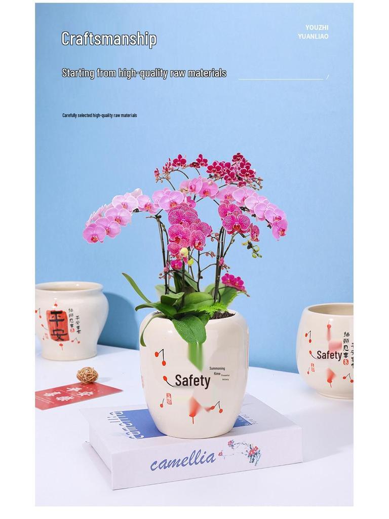 Ceramic Money Tree Succulent Vase: Peace & Joy Decorative Flower Pot for Home & Office.