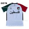 Palestinian Football Jersey 2425 Home Away Kit Adult Kids Soccer Shirt Breathable Sport Wear