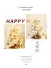 White PVC Flocked Mini Desktop Christmas Tree Set with Ornaments