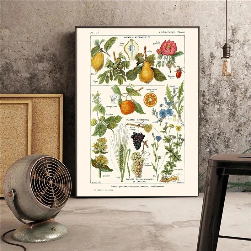 Botanische Blume Pilz Obst Leinwand Gemälde Wildpflanze Pilz Poster und Druck Wandkunst für Wohnzimmer Wand Dekor Cuadros