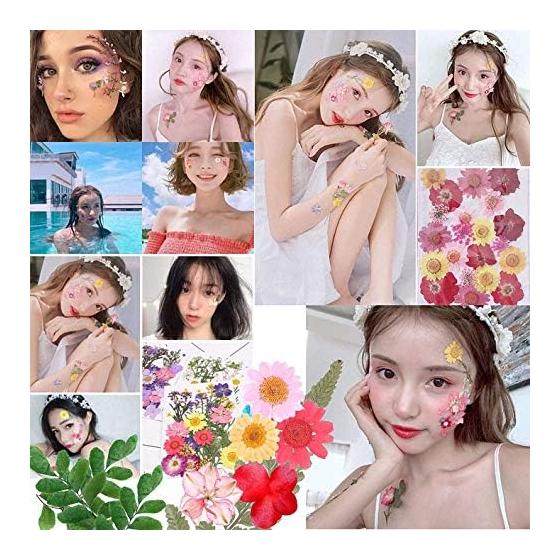 36pcs Dried Flowers Dried Pressed Flowers Leaves Authentic Natural DIY Color Candle Decoration Resin Jewelry Pendant Handicrafts Art Nail Phone Case