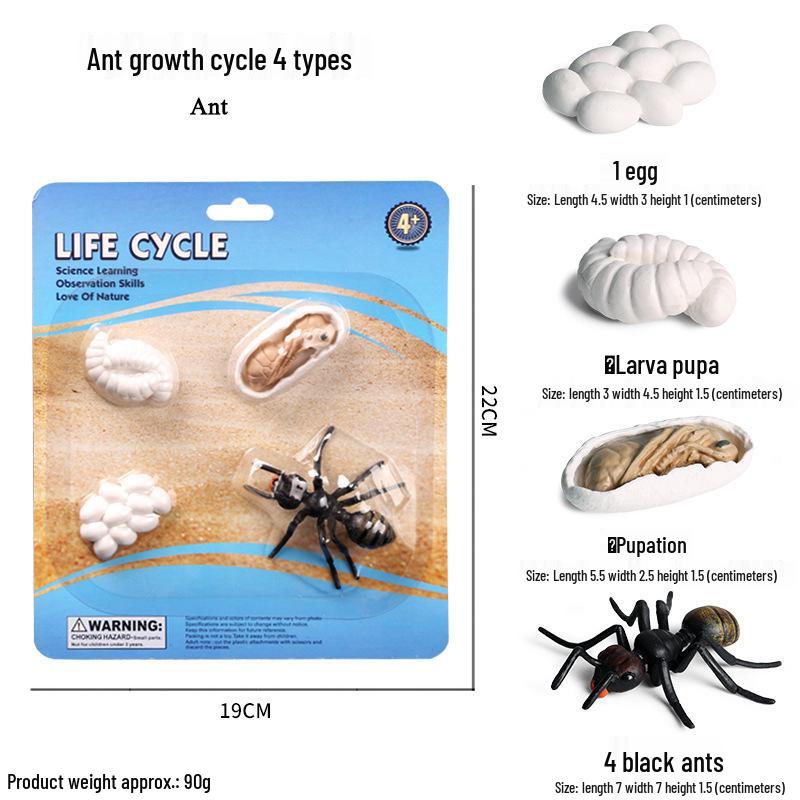 Cross-border Simulation Animal Suction Toy: Butterfly, Rooster, Ant, Frog, Sea Turtle, Mosquito Growth Cycle Models