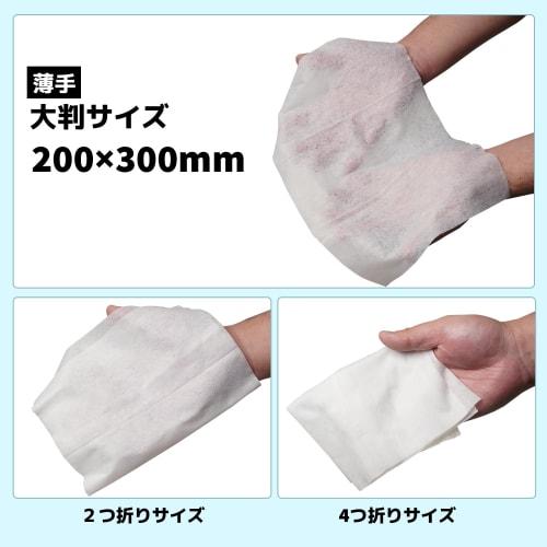 Wet Wipes for Adults, 90 Sheets, Thin, Large Size, Non-Flushable, WS5105