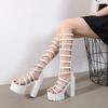 Fashion 14.5CM Brand Woman Heels Sandals For Wedges Shoes Roman Cool Fashion Punk Gothic Sandals Gladiator Platform With Zipper