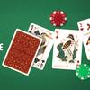 Bird In The Hand Poker Cards North American Birds Theme Card Deck Kids Adults Family Night Multi-player Interactive Classical Card Board Game