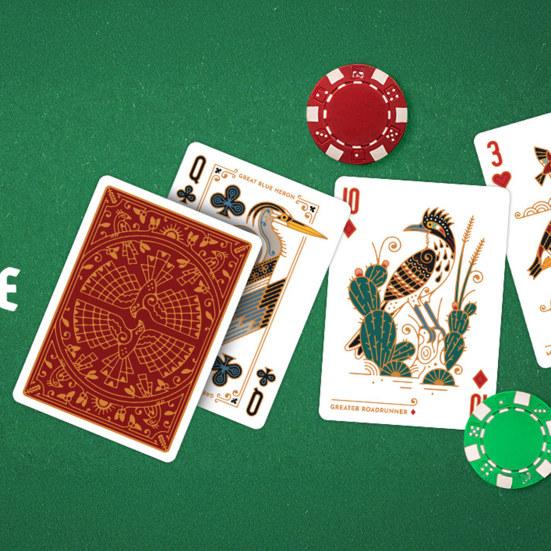 Bird In The Hand Poker Cards North American Birds Theme Card Deck Kids Adults Family Night Multi-player Interactive Classical Card Board Game