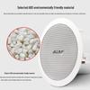 Shile AV8820+BX206 Ceiling Speaker System (CN version)