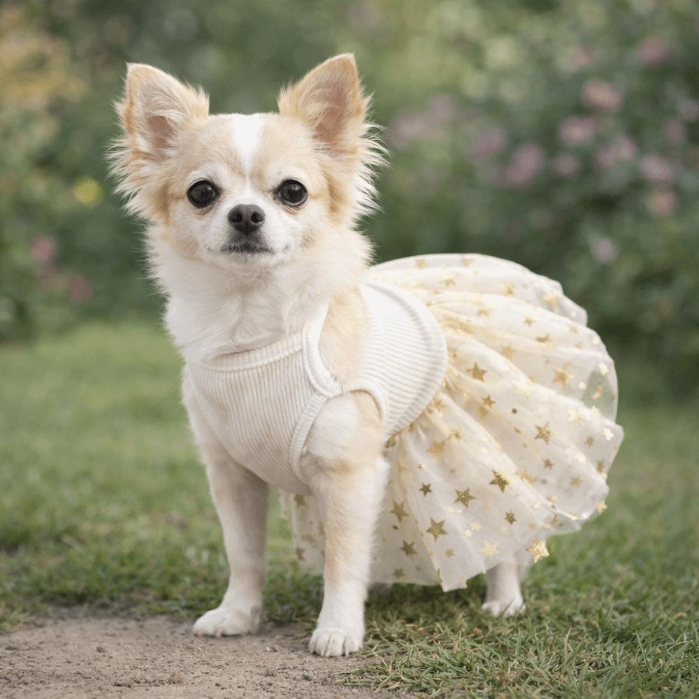 Breathable Puppy Princess Dress Korean Style Pet Strap Puff Skirt Sweet Pet Clothing  Daily Wear