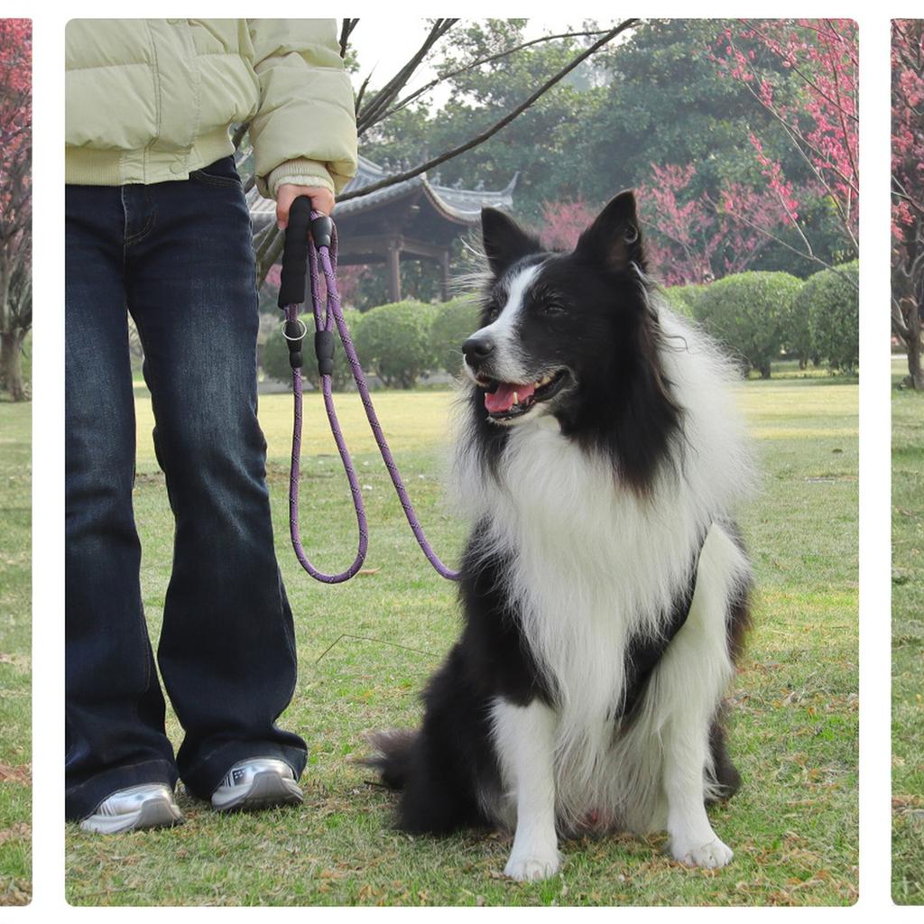 Plutus Haustierseil Hundeleine 1,8 m lang, Verkehrspolsterung Zwei Griffe, Strapazierfähig, Reflektierende Doppelte Griffe für Kontrolle Sicherheitstraining