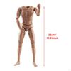 1:6 Scale Male Body Poseable 28 Joints Moveable 12" Action Figure