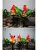 Solar LED Flower Bird Lights for Outdoor Courtyard, Balcony, Garden, and Camping with Sensor Activation.