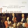 CD FRANS BRUGGEN  Telemann 12 Metodische Sonaten SRCR21189  1997 Japan Classical Used
