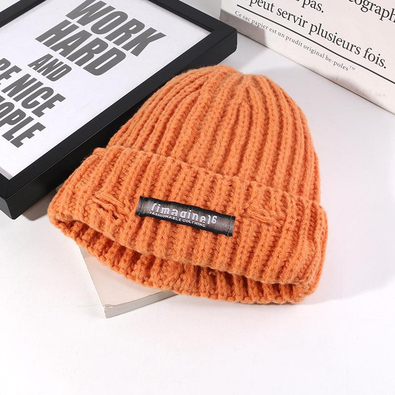 Korean Style All match Knitted Hat Warm Ear Protection Pullover Hat for Women Autumn and Winter Personalized Cold Hat Thickened Plush Hat Small Face