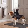 Halloween Dog Rider Costume Grim Reaper Dark Outfit Adjustable Chest Strap Accessory for Small Medium Large Pets