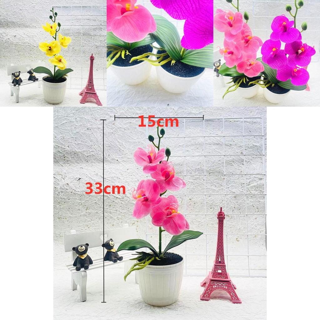 Phalaenopsis Plastic Potted Plant With Realistic Blooming Flowers For Living Room Decor