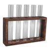 5 Test Tube Plant Terrarium Transparent Observe Growth Status Water Plant Holder with Wooden Stand for Herbs