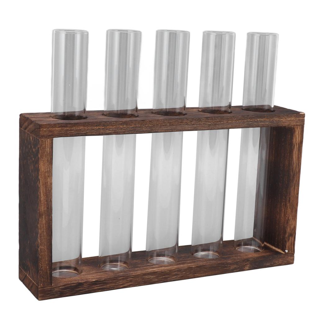5 Test Tube Plant Terrarium Transparent Observe Growth Status Water Plant Holder with Wooden Stand for Herbs