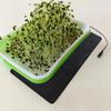 8.5W Plant Heat Mat 15X22cm/33x18cm PVC Leather Plant Warming Mat 45-50 USB Warm Hydroponics Heating Pad For Indoor Reptiles