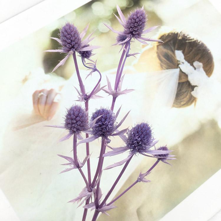Preserved Eryngium Blue Planet Glass Dome DIY Wedding Flowers