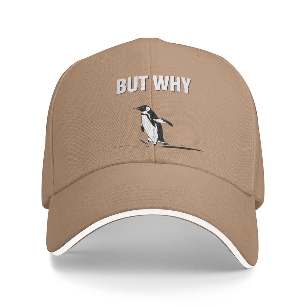 Vintage Nihilist Penguin But Why Baseball Cap  Men Women Print Hip Hop Hats Summer Tennis Skate Dropshipping Baseball Caps