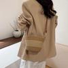 Women's 2026 Summer Straw Woven Crossbody Bag: Casual & Versatile Beach Vacation Bucket Bag