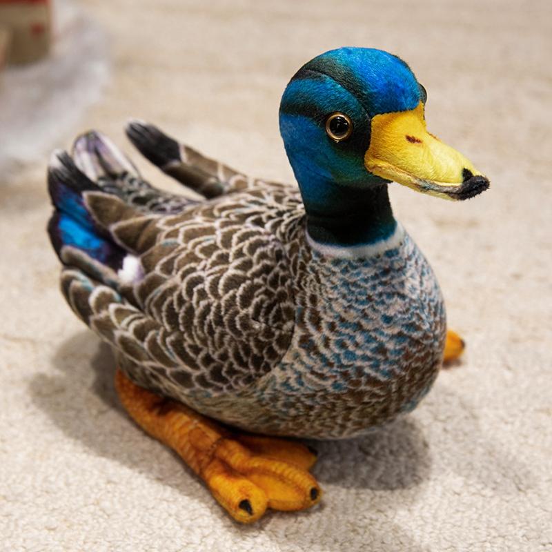 Alle Serien Simulations Kuscheltier Vögel Papageien Elster Tukan Adler Pfau Weißkopfseeadler Taube Plüschtiere Spielzeug Pädagogisches Geschenk