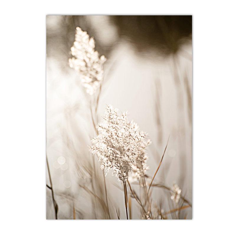 Béžový Bunny Tail Grass Nástěnné plakáty Přírodní pampy Reed Obraz na plátně Květinový umělecký plakát Malba Severské nástěnné obrazy Home Decor