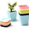 6/12pcs Colorful Square Flower Pot with Tray Offices Indoor Outdoor Decor Flower Beds Garden Nurseries Plastic Flowerpot XJM