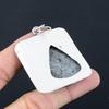Easter Deal Sterling Silver Root Chakra Black Fossil Coral Gemstone Boho Pendant