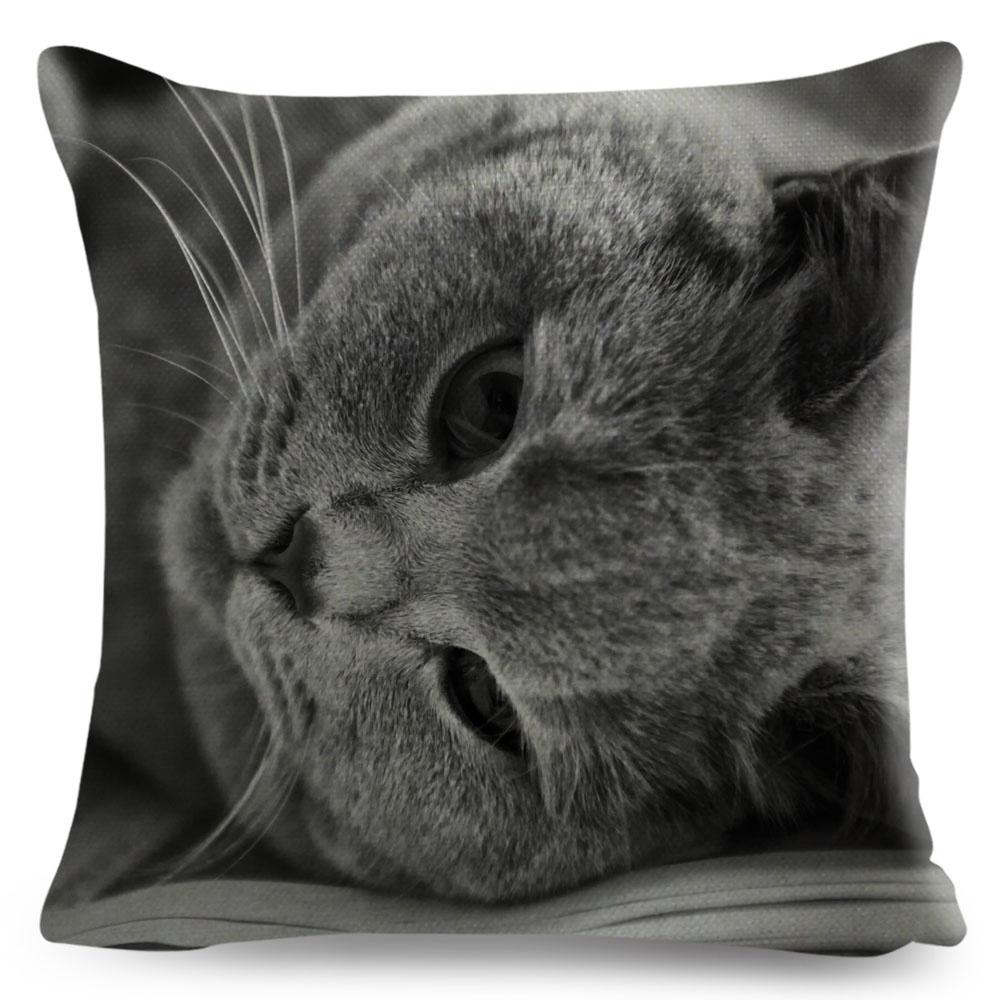 Housse de coussin British Shorthair bleu russe, taie d'oreiller en Polyester, décoration de chat mignon, Animal de compagnie, pour canapé, maison, voiture