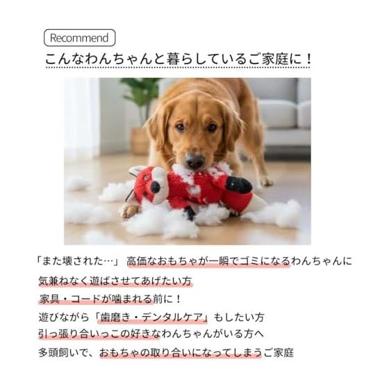 Set of 10 Dog Toys, Sturdy, Small Dogs, Medium Dogs, Large Dogs, Dog Toys, Rope, Ball, Frisbee, Toothpaste, Educational Toys, Chewing Pet Toys, Cat