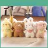 Cute And Cuddly Mini Bear Keychain Soft Short Plush Fabric Perfect Bag Accessory