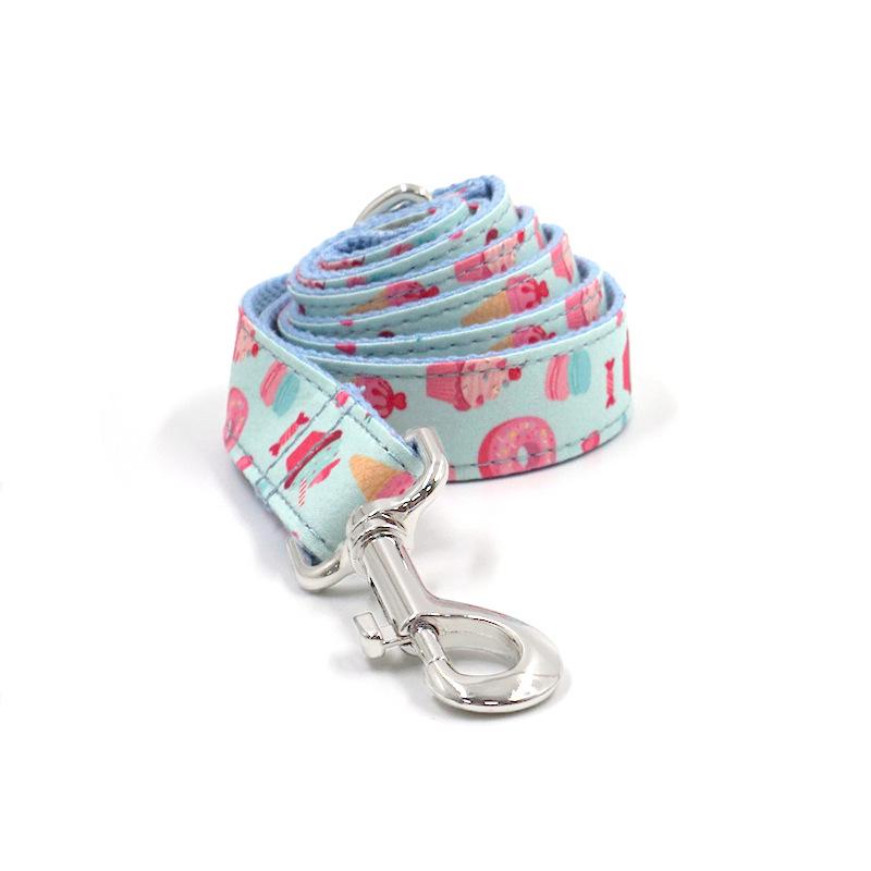 Engraved Large Dog Collar & Leash Set for Walking