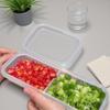Refrigerator Storage Box Packed Meal Crisper Food Grade Plastic Sealed Food Meat 2/3-Compartment Refrigerated Storage