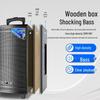 SAST SA-122 Portable Bluetooth Karaoke Speaker (CN Version)