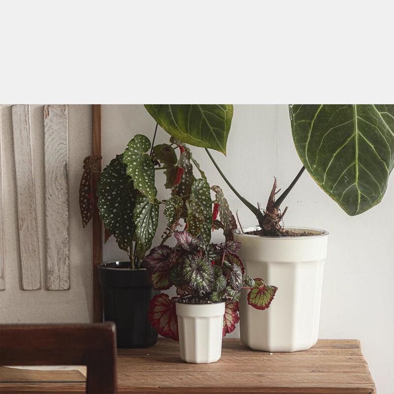 Oushuo Smart Self-Watering Planter