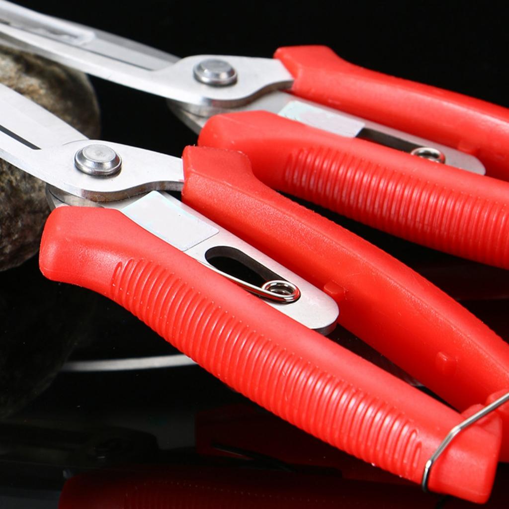 1Pc Double-Edged Fruit Flower Thinning Scissors Carbon Steel Garden Orchard Plant Kiwi Pear Apple Trees Multi-use Pruning Tools