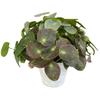 Artificial Plants Plastic For Home Decor Photography Props Wedding Decoration