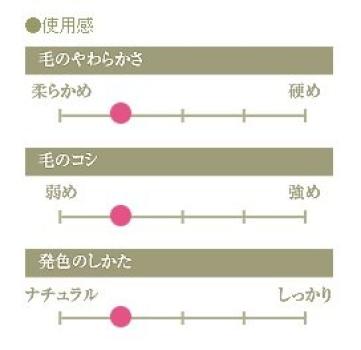 CHIKUHODO Kumano Brush Chikuhodo Face Brush Gray Makeup Brush 1 Piece (Makeup Brush) (Cheek/Highlight) Squirrel/Sokoho G-2 (x 1)