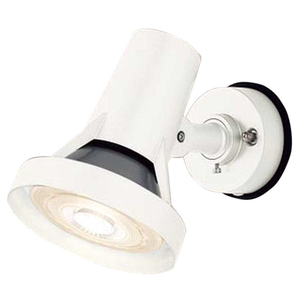 Panasonic Outdoor Spotlight Light Bulb Color White LGW40117