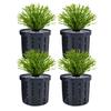Aquarium Plant Holder Stable Fish Tank Plant Basket Aquarium Hydroponics Planting Holder Water Feature Decoration Accessories
