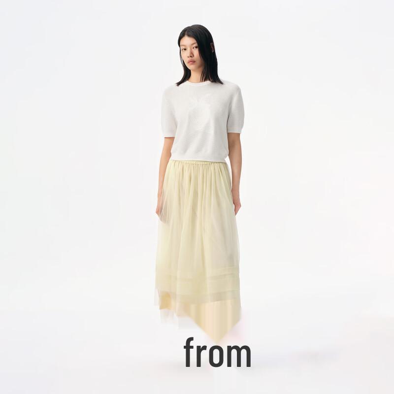 Broadcast Women's Elegant Mesh Midi Skirt
